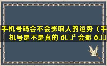 手机号码会不会影响人的运势（手机号是不是真的 🌲 会影 🐋 响一个人的运势）